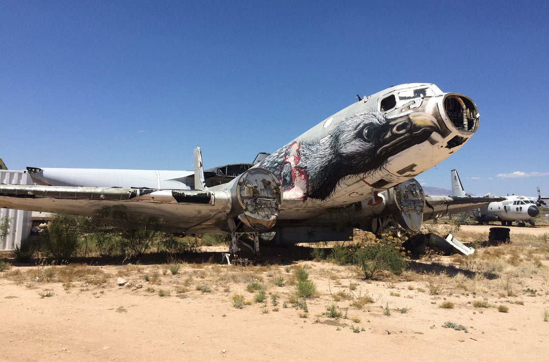 POCKET-SIZED Aviation history