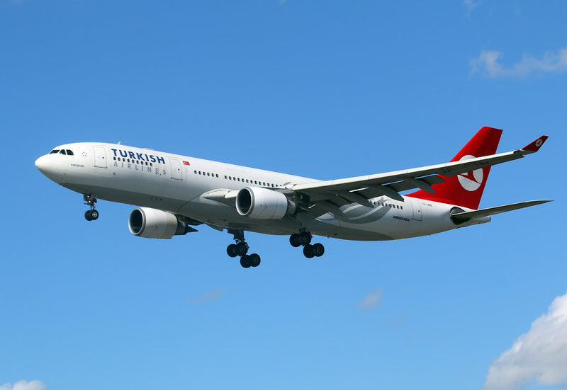 TC-JNG Up in the Air in livery design of Turkish Airlines