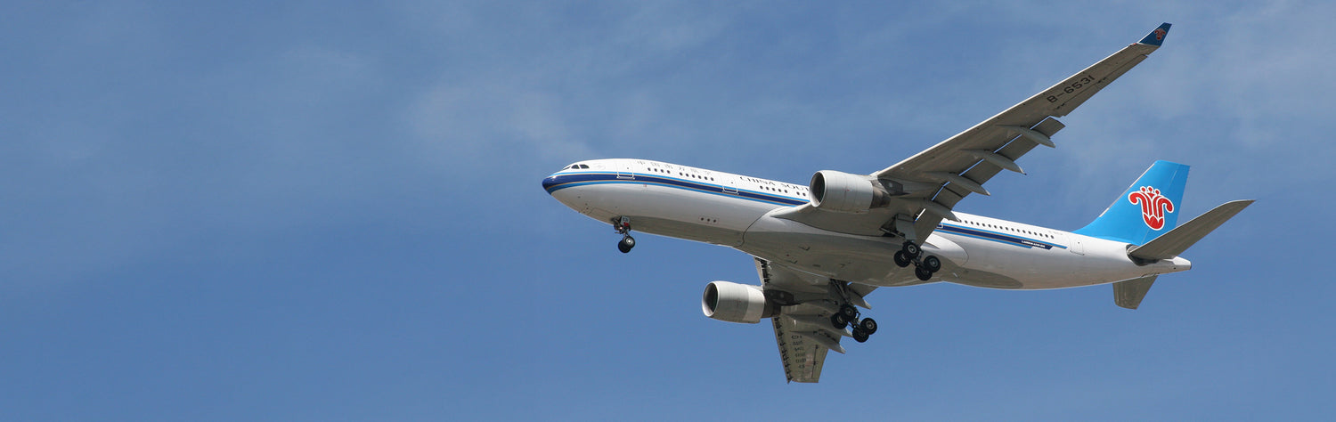 Legacy of China Southern A330-200 B-6531