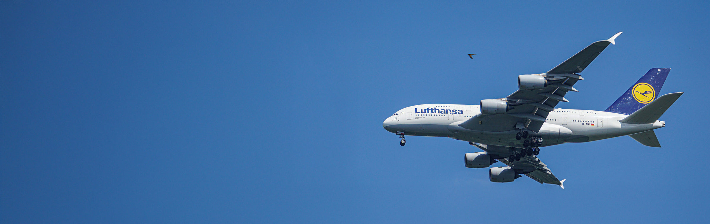 Aviationtag x Lufthansa Airbus A380 D-AIMI Edition Banner Landing Page