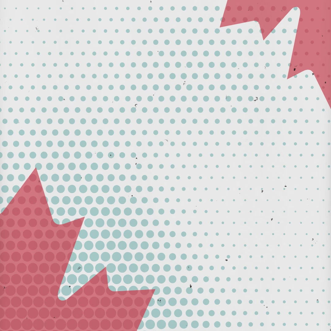 Aviationtag Airbus A319 C-GBIK Edition ex AIr Canada & Jetz Product Video Square