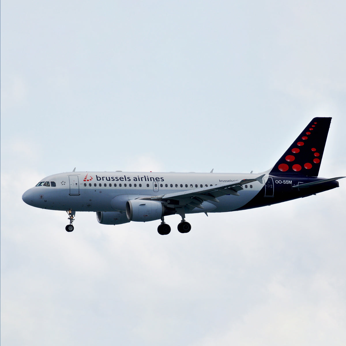 Original Aircraft Skin Tags | Airbus A319 OO-SSM Keychain