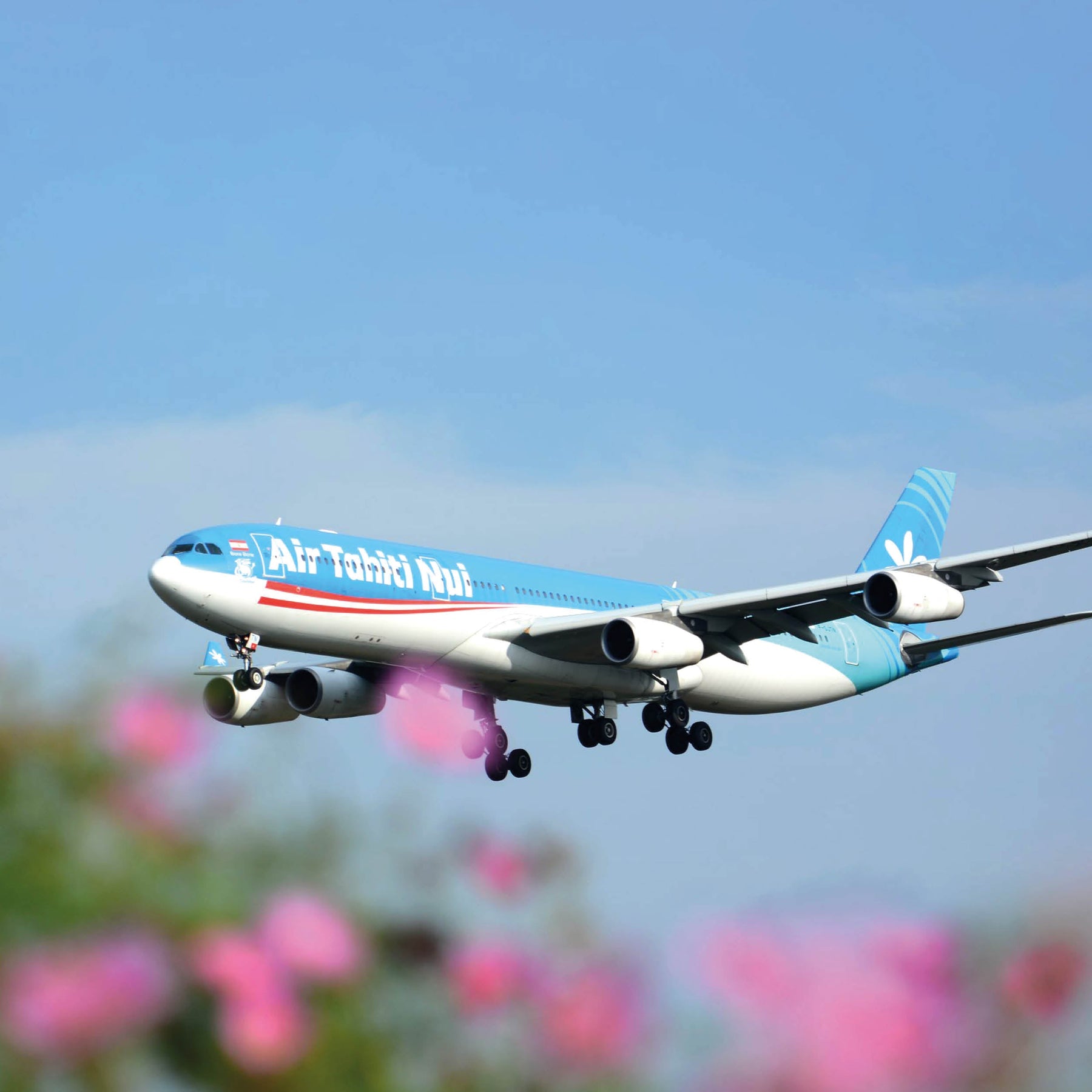 Air Tahiti Nui Airbus A340 - F-OJTN Blau kaufen – Aviationtag